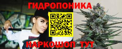 Альфа ПВП Пенза
